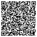 QR code with Pitaya contacts