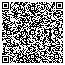 QR code with Baldwin Pony contacts