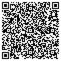QR code with Torrid contacts