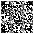 QR code with Pyramid Entertaiment LLC contacts