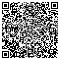 QR code with Bugsy contacts
