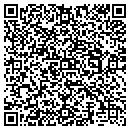 QR code with Babinski Properties contacts