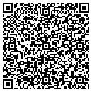 QR code with Babinski Properties contacts