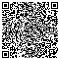 QR code with Pitaya contacts