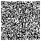 QR code with C W Owens Enterprises contacts