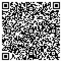 QR code with Torrid contacts
