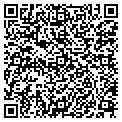 QR code with Willows contacts