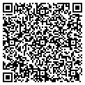 QR code with Torrid contacts