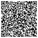 QR code with Public Transit contacts