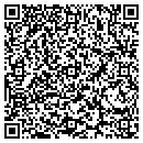 QR code with Color World Painting contacts