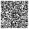 QR code with Airvan contacts