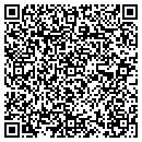 QR code with Pt Entertainment contacts