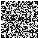 QR code with Pulsive Entertainment contacts