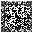 QR code with Carter Insulation contacts