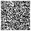 QR code with Precious Reflections contacts