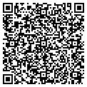 QR code with Willows contacts