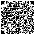 QR code with Vivas Co contacts