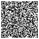 QR code with Blues Orphans contacts
