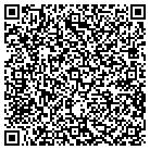 QR code with Breese Plastering Chris contacts