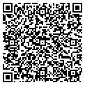 QR code with Pitaya contacts
