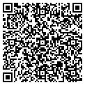 QR code with Torrid contacts