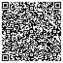 QR code with Princeton Windrows contacts