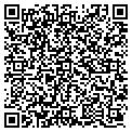 QR code with T & CO contacts