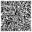 QR code with Bisson Plastering Inc contacts