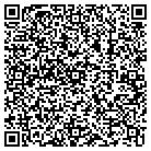 QR code with Pullin Entertainment LLC contacts