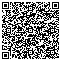 QR code with Aracno contacts