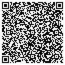 QR code with City Pet Strippers contacts