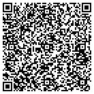 QR code with Baessler Custom Hauling contacts