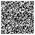QR code with Genius contacts