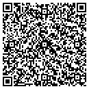 QR code with Precision Axis Inc contacts
