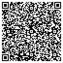 QR code with Puridigm Entertainment contacts