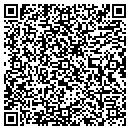QR code with Primerica Ins contacts