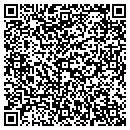 QR code with Cjr Investments Inc contacts