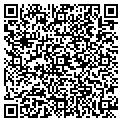 QR code with V Corp contacts