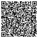 QR code with Cato contacts