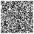 QR code with Blue Water Railway & Boat contacts
