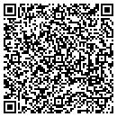 QR code with Puddle Duck Shoppe contacts