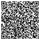 QR code with Chameleon Productions contacts