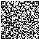 QR code with Carson Unlimited Inc contacts