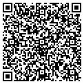 QR code with Torrid contacts