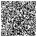 QR code with Torrid contacts