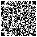 QR code with City Critters Inc contacts