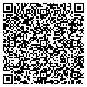 QR code with Willows contacts