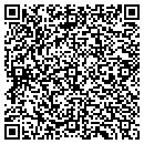 QR code with Practical Insanity Inc contacts
