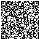 QR code with Publix contacts