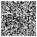 QR code with Puehse Books contacts